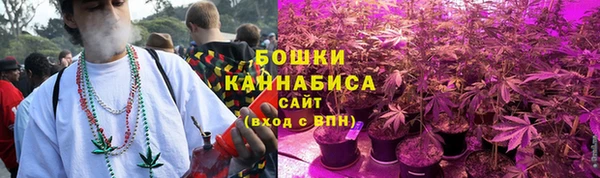 ПСИЛОЦИБИНОВЫЕ ГРИБЫ Вязьма