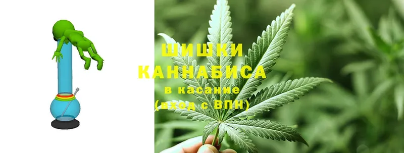 Бошки марихуана OG Kush  Киржач 